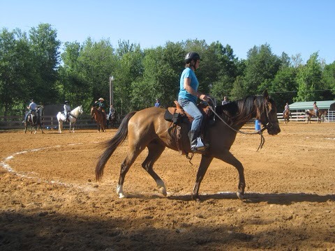 Christine Macdonald Photo 14
