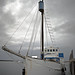 Ann Simms Photo 24