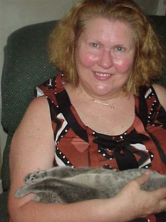 Connie Barnes Photo 29