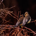 Todd Weber Photo 29