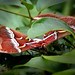 Dong Hua Photo 4