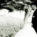 Kim Hamrick Photo 32