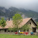 Refugio Ibarra Photo 8