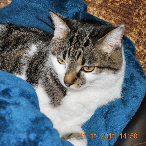 Kenneth Stewart Photo 6
