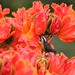 Linda Conway Photo 35
