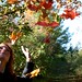 Robyn Maple Photo 5