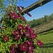 Earnest Bean Photo 10