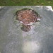 Russell Trask Photo 2