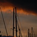 Mark Mast Photo 16