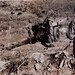 Randy Vitale Photo 13