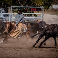 David Flack Photo 21