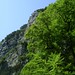 Dan Martel Photo 12