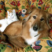 Sylvia Patterson Photo 33