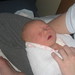 Frances Carroll Photo 15