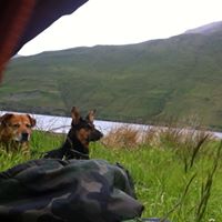 Daniel Dowling Photo 21