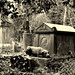 Thomas Sayers Photo 30