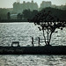Joy Loth Photo 4