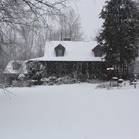 Gail Mcdonald Photo 38