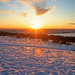 Jan Ray Photo 7