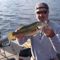 Kenneth Schaefer Photo 28
