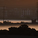 Patrick Velasquez Photo 30