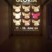 Ruth Gomez Photo 2