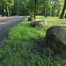 Mark Tallman Photo 8