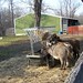 Nancy Eubanks Photo 22