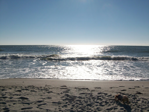 Debbie Shields Photo 27