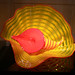 John Macchia Photo 25