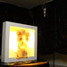 Michael Pisano Photo 40