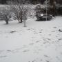 Ronald Stevenson Photo 5