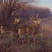 Jerry Parrish Photo 4