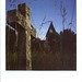 Margaret Land Photo 15
