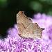 Mark Mcclain Photo 40