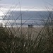Julie Tobin Photo 35