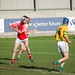 Shane Stapleton Photo 20