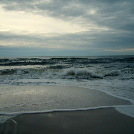 Sue Cobb Photo 16