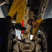 Matthew Whiteman Photo 39