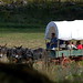 Michelle Milburn Photo 12