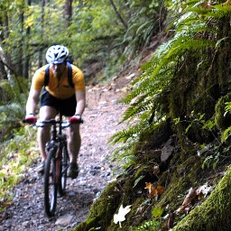Matthew Morin Photo 18