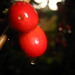 Teresa Welch Photo 42