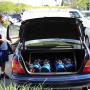 Duane Elliott Photo 9