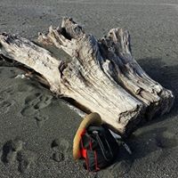 Michele Calvert Photo 15