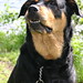 Wilma Summers Photo 12