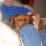 Nancy Rice Photo 33