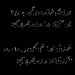 Muhammad Zafar Photo 30