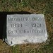 Maxwell Elliott Photo 8