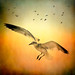 Michael Colyer Photo 30