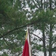 Jimmie Brown Photo 6